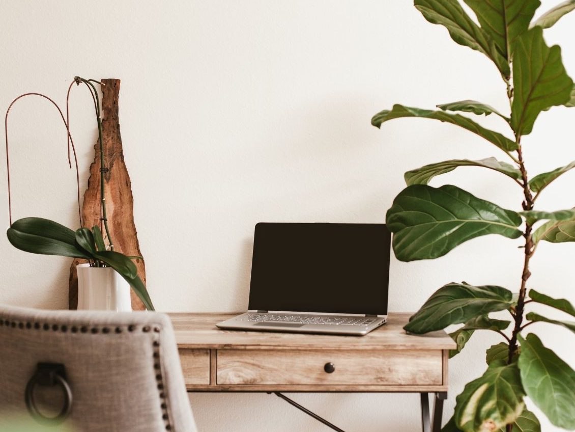 5.	Декорирајте со растенија