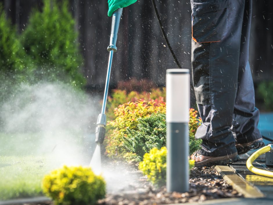 Време е за есенско чистење