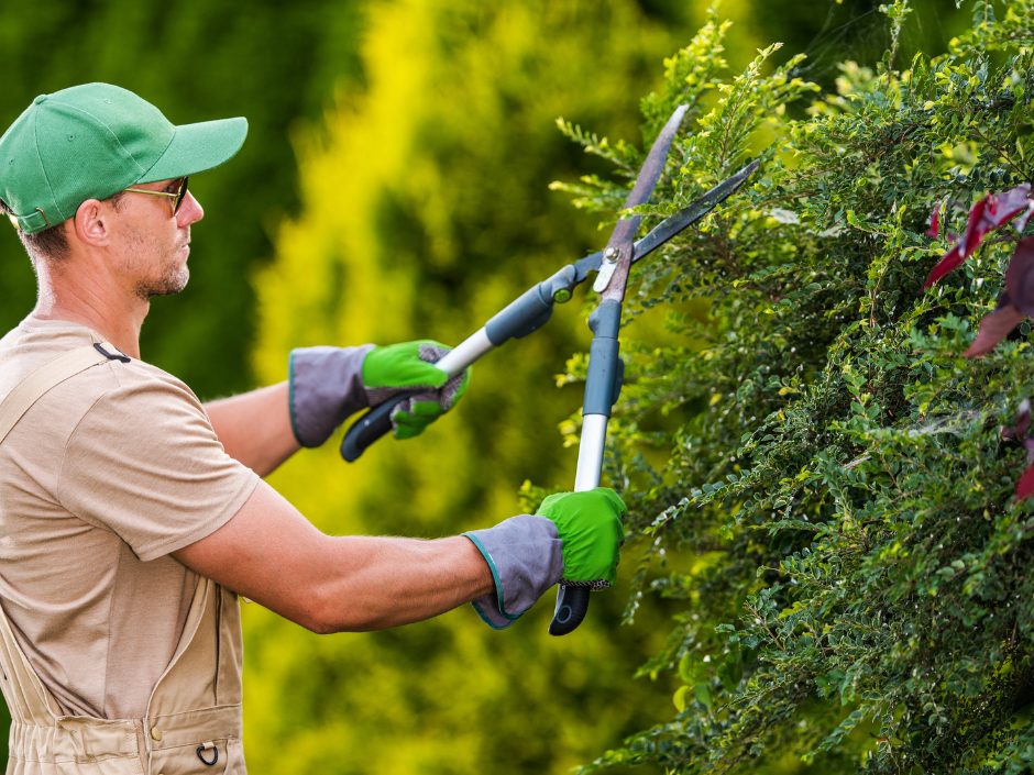 Време е за есенско чистење
