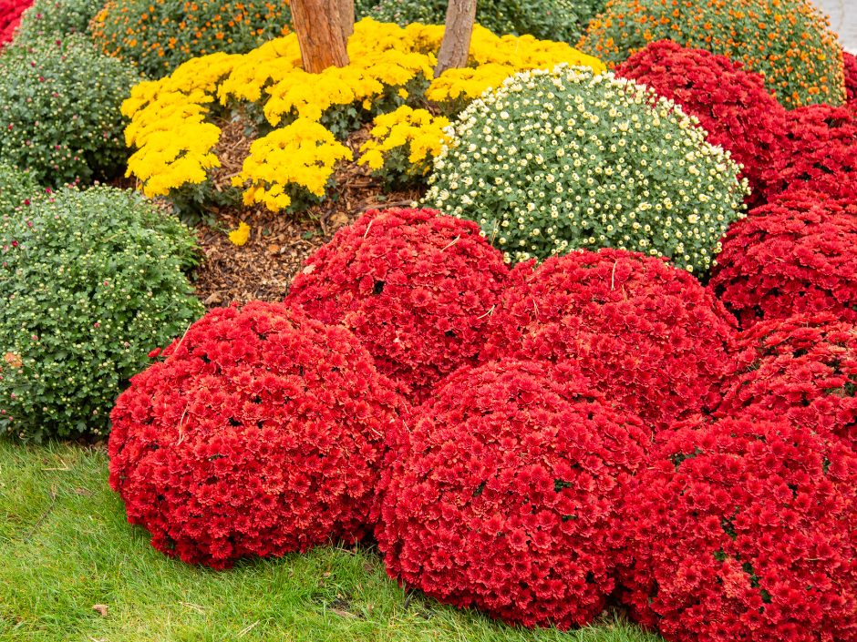 Време е за есенско чистење