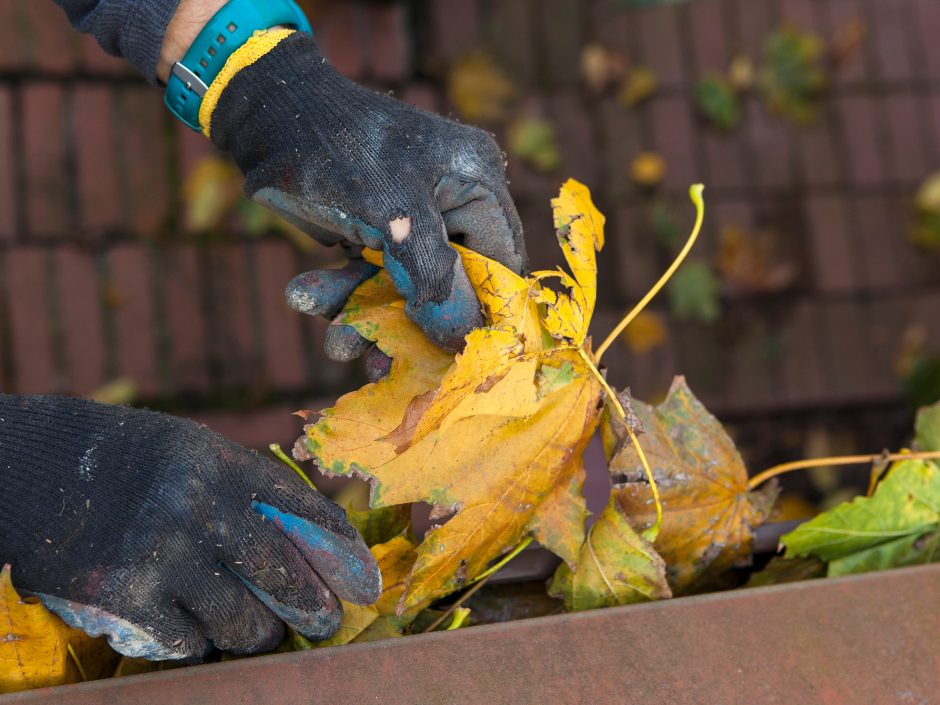 Време е за есенско чистење