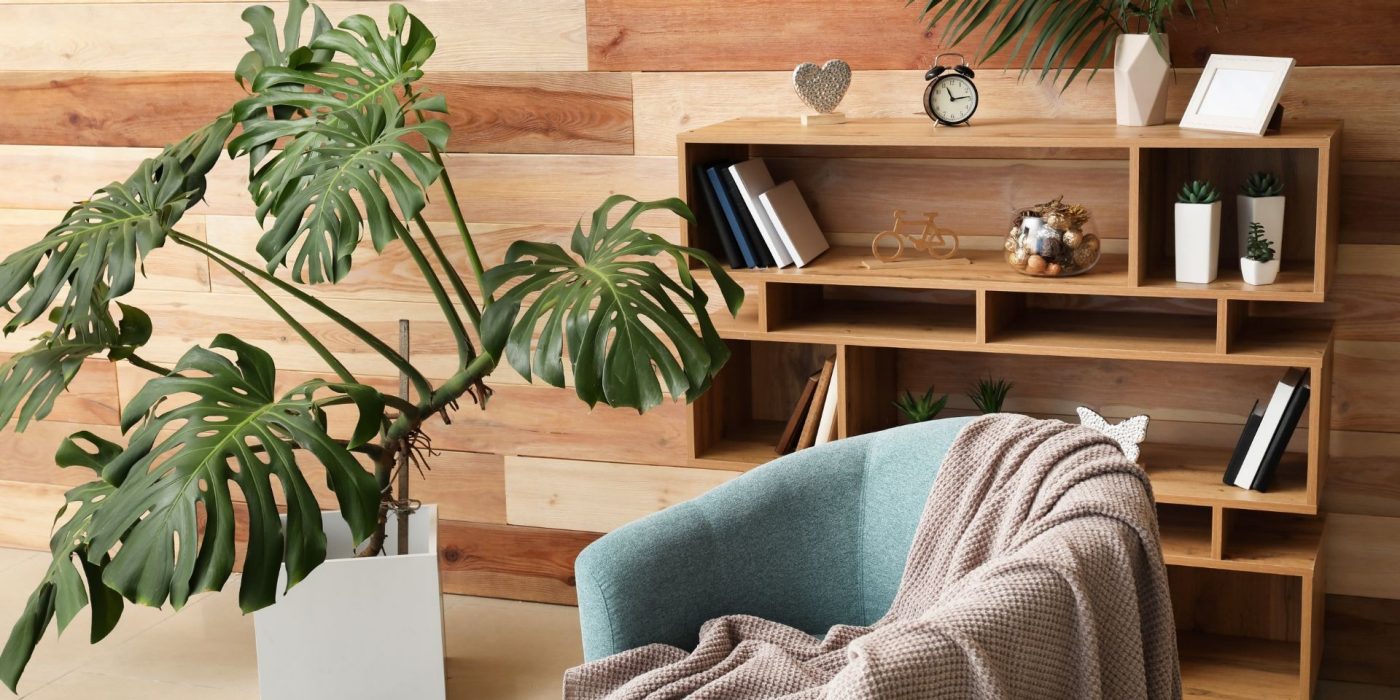 Растенијата носат живот