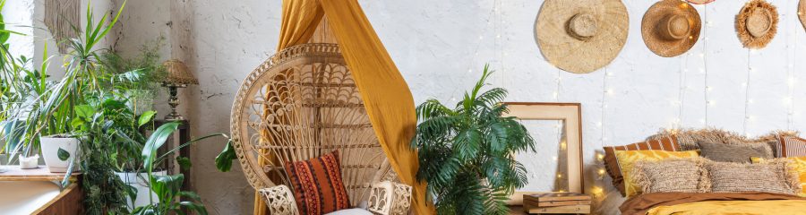 Бохо вегетација