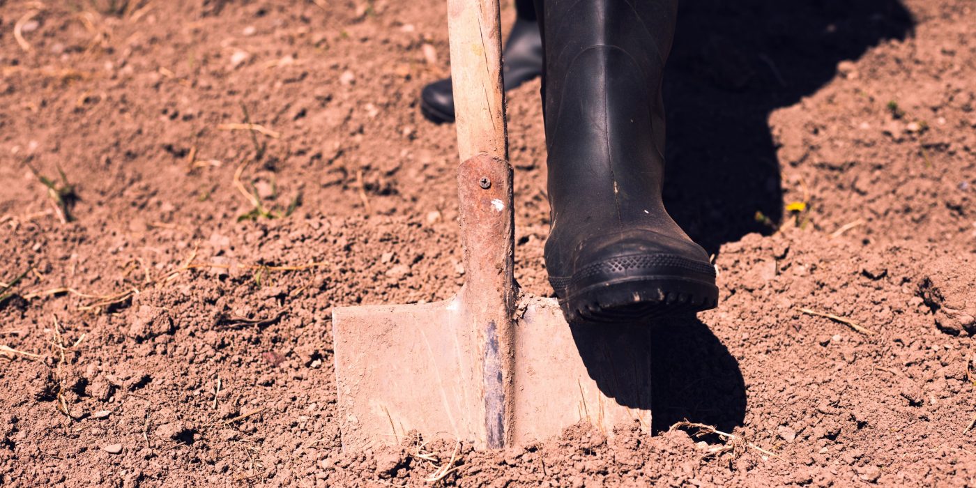 Поставување и чување на темелите