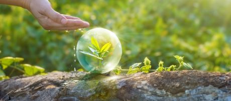 Добредојдовте во светот на wienerberger