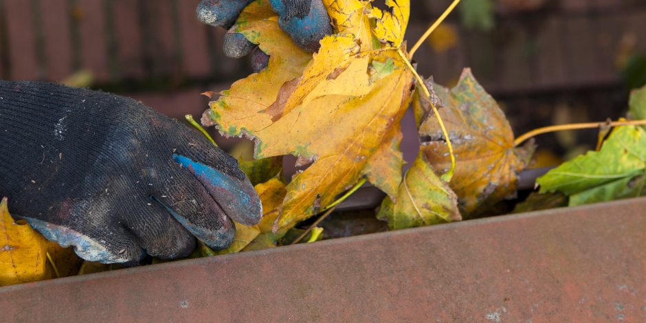 Чистење за зимата