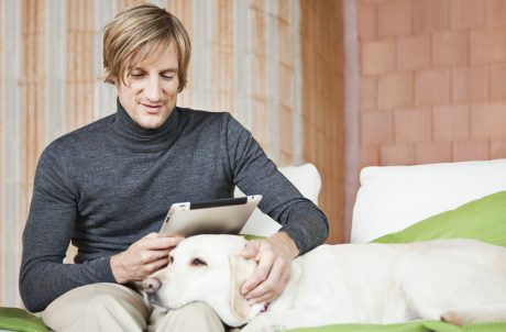 Стабилност