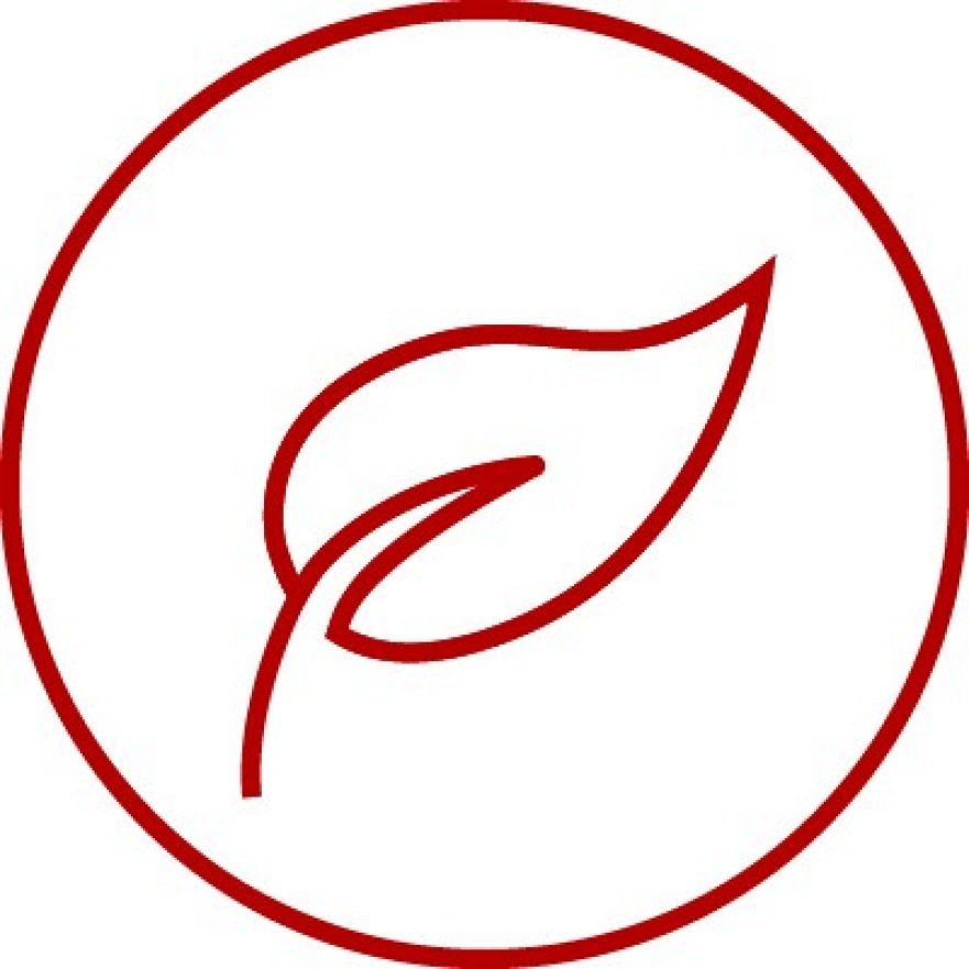 Icon with leaf for nature, sustainability, environment, e4