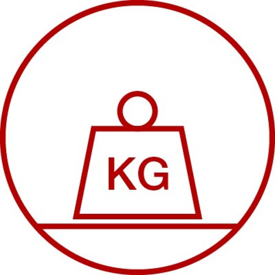 Icon for weight resistance, durability