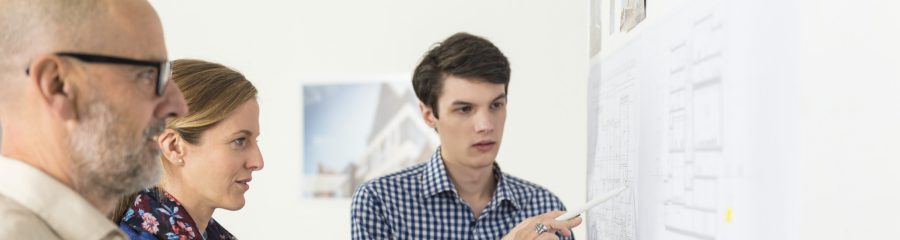 Architects in their office